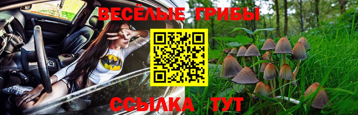 Галлюциногенные грибы GOLDEN TEACHER Лиски